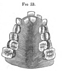 Fig.53.