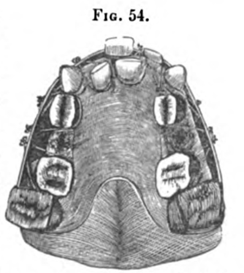Fig.54.