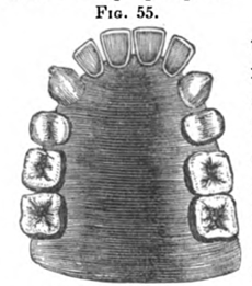 Fig.55.