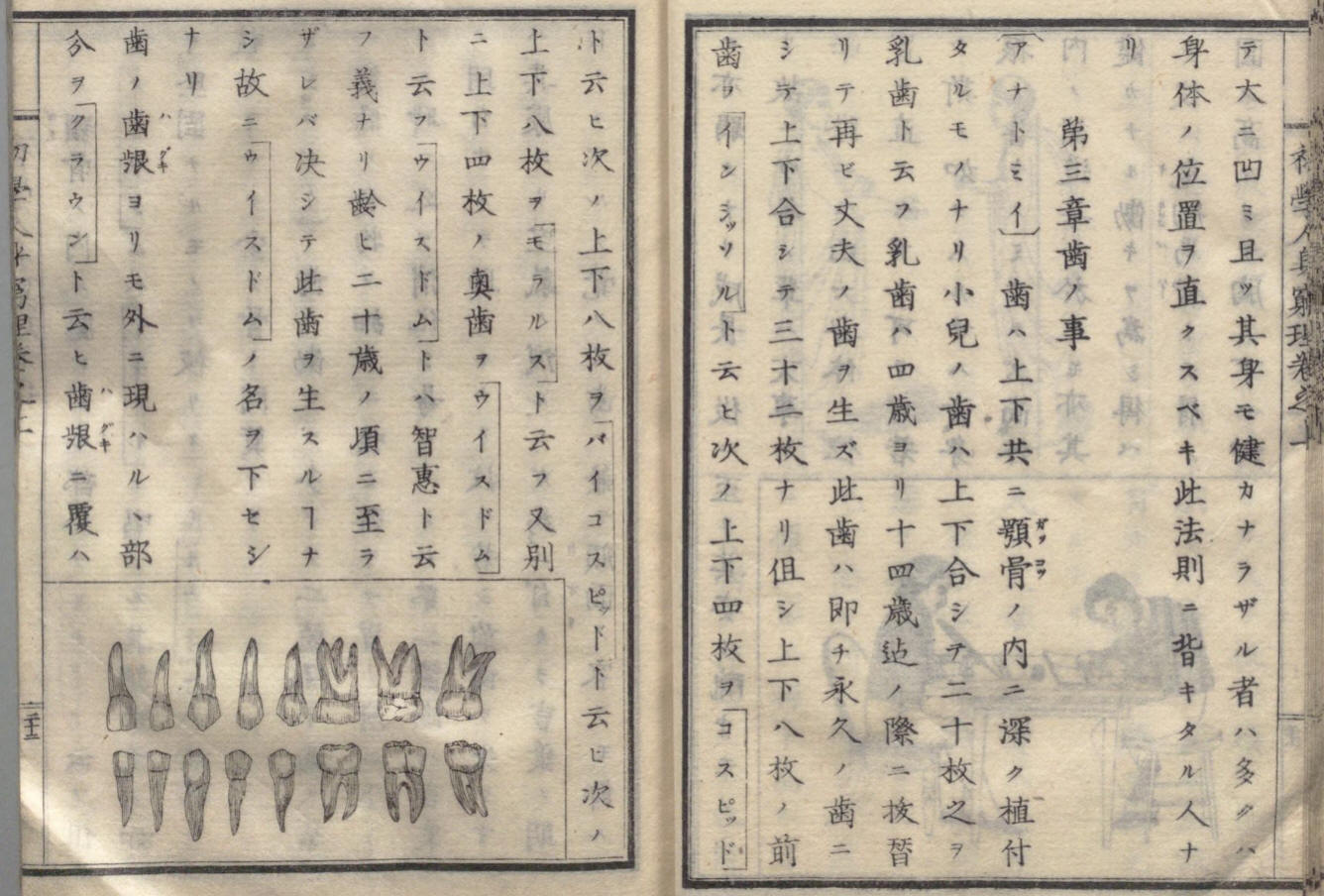 日本新歴史上下巻 普通学全書 当時物｜本・雑誌・漫画