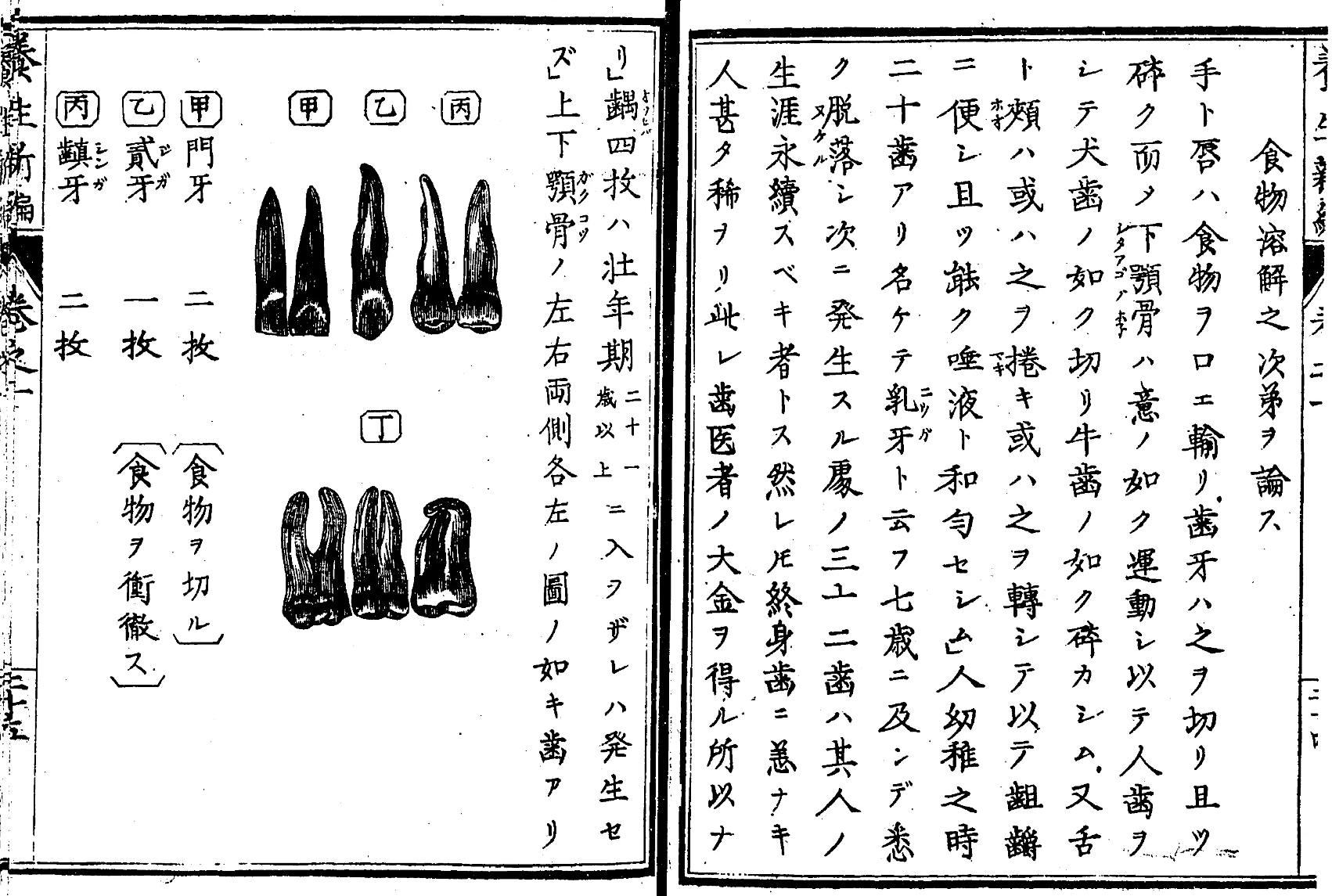 1872_養生新論1
