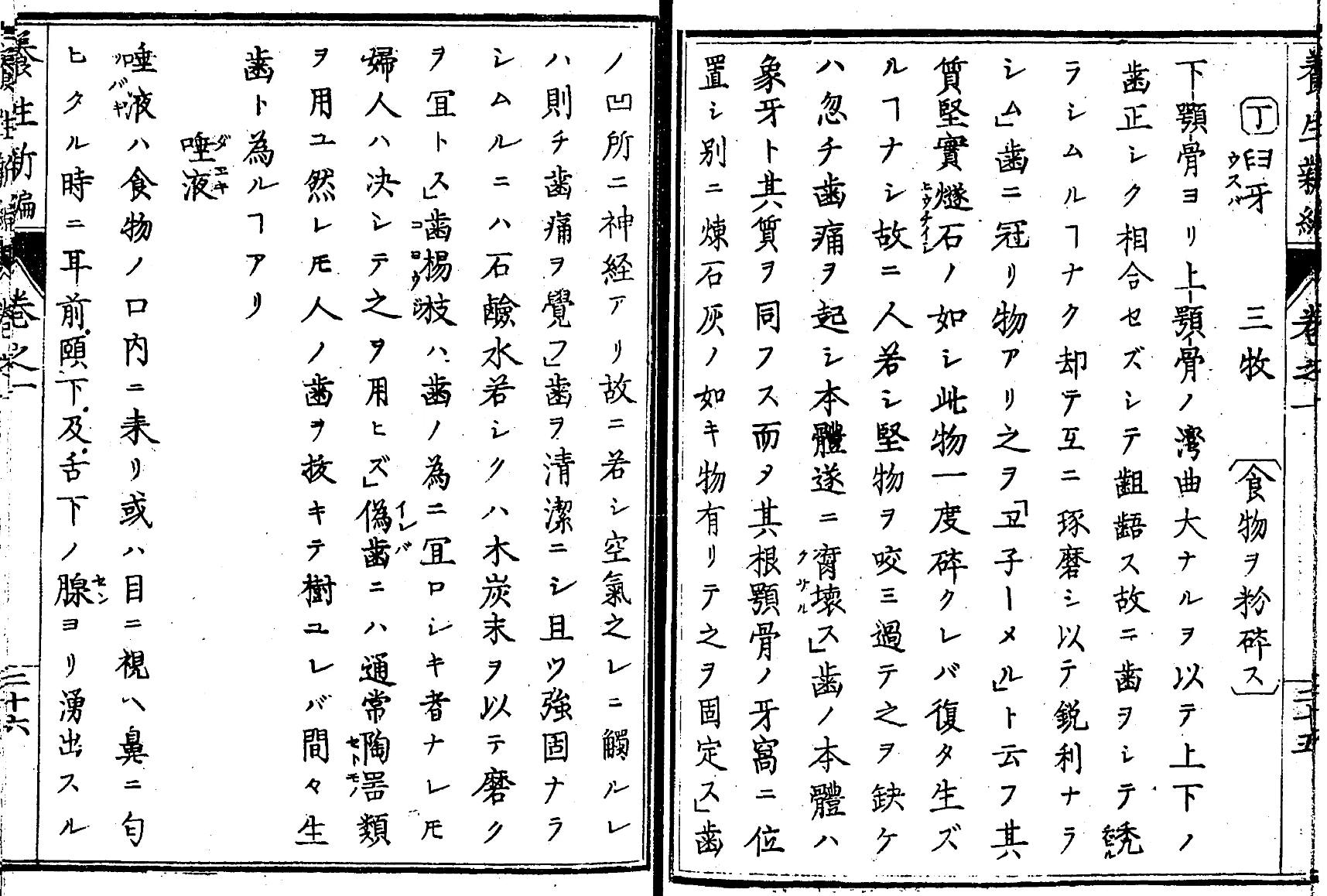 1872_養生新論2