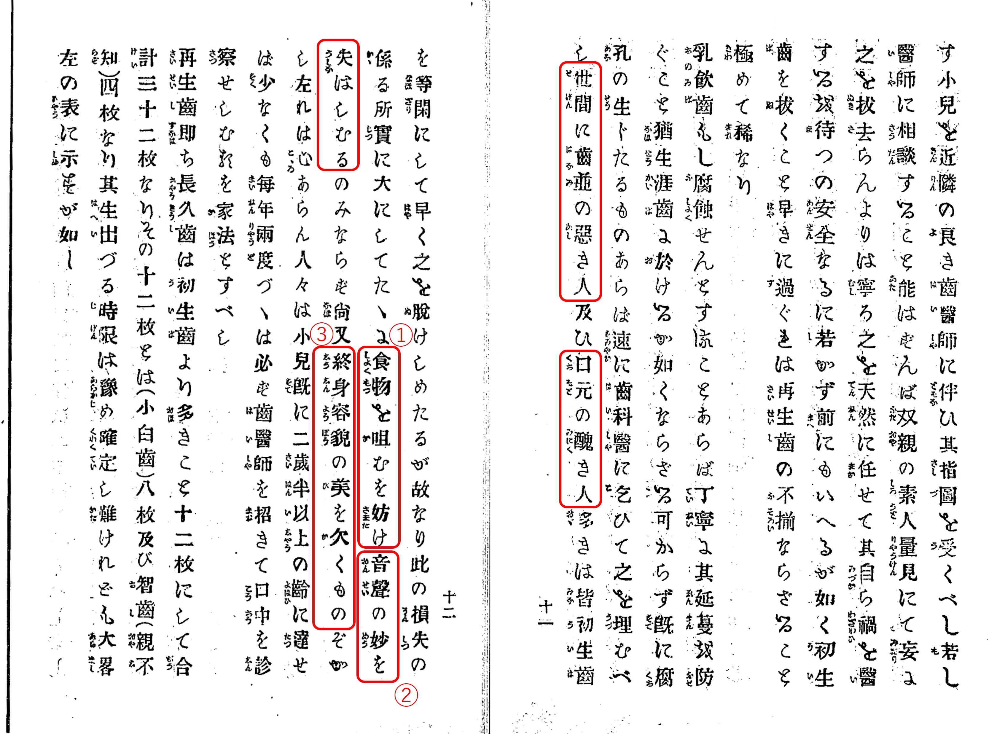 1879_齒乃養生法_小幡英之介