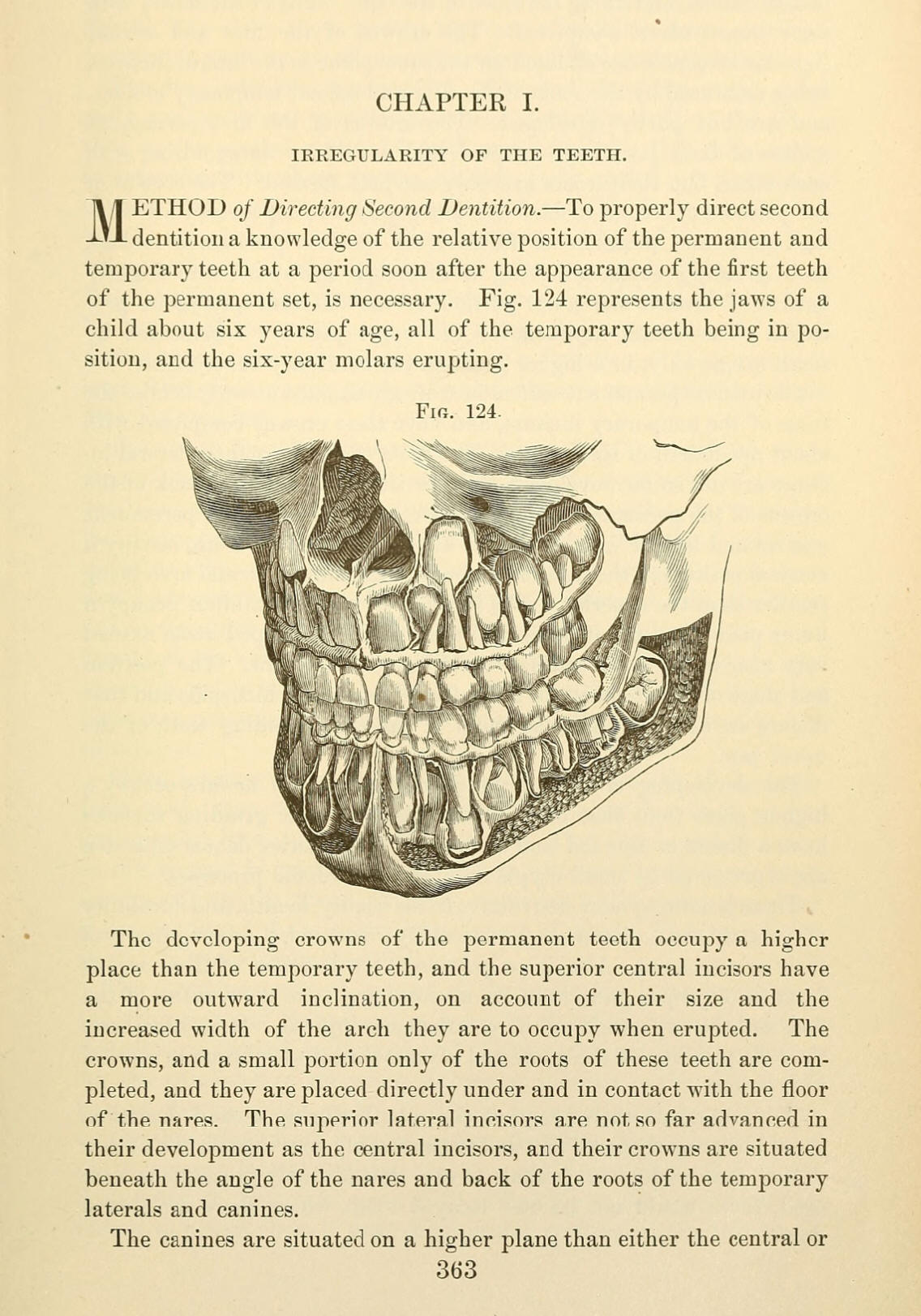 1885_Harris 11ed_chapter I. Irregularity of the Teeth p363 