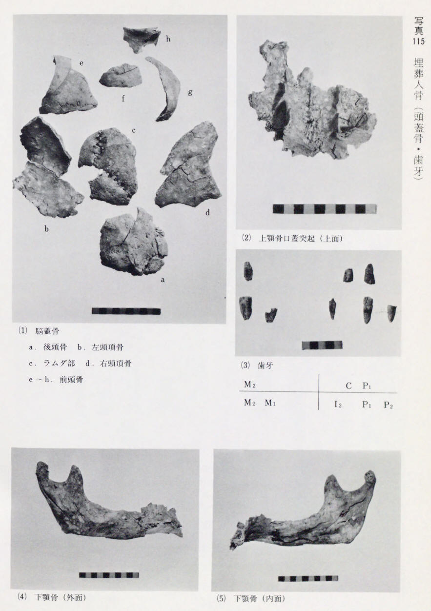 太安萬侶の骨_写真115