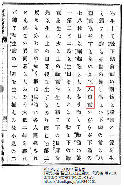 八重歯3