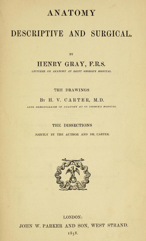 1858_Gray's Anatomy